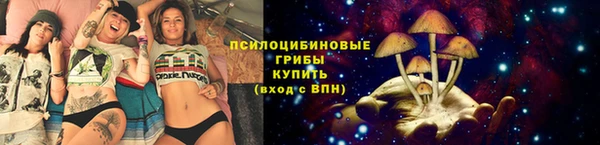 мяу мяу кристалл Костерёво