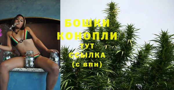 не бодяженный Коряжма