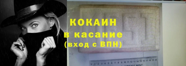 крисы Корсаков