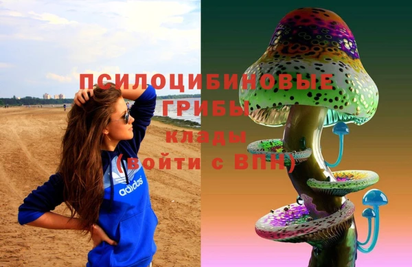 не бодяженный Коряжма