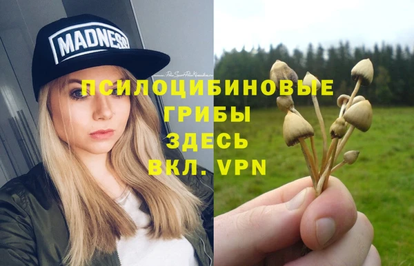 ешки Краснотурьинск