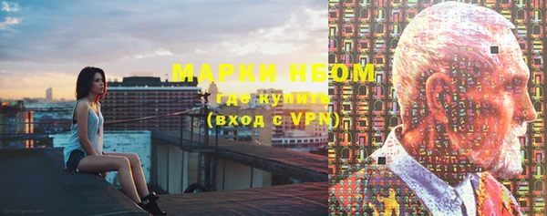 крисы Корсаков