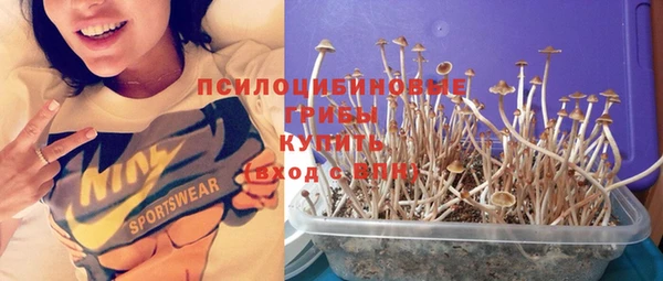 метадон Кодинск