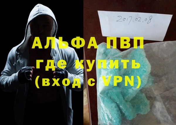 крисы Корсаков