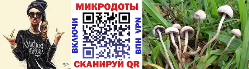 Галлюциногенные грибы Cubensis Красноуральск